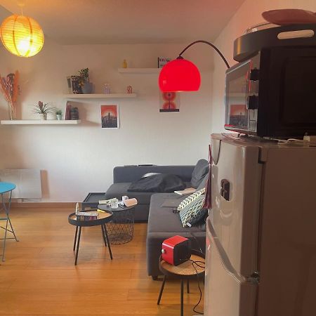 Appartement Au Centre Ville De トゥールーズ エクステリア 写真