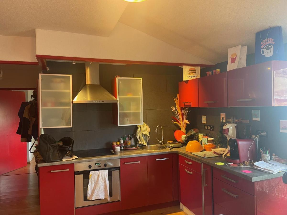 Appartement Au Centre Ville De トゥールーズ エクステリア 写真