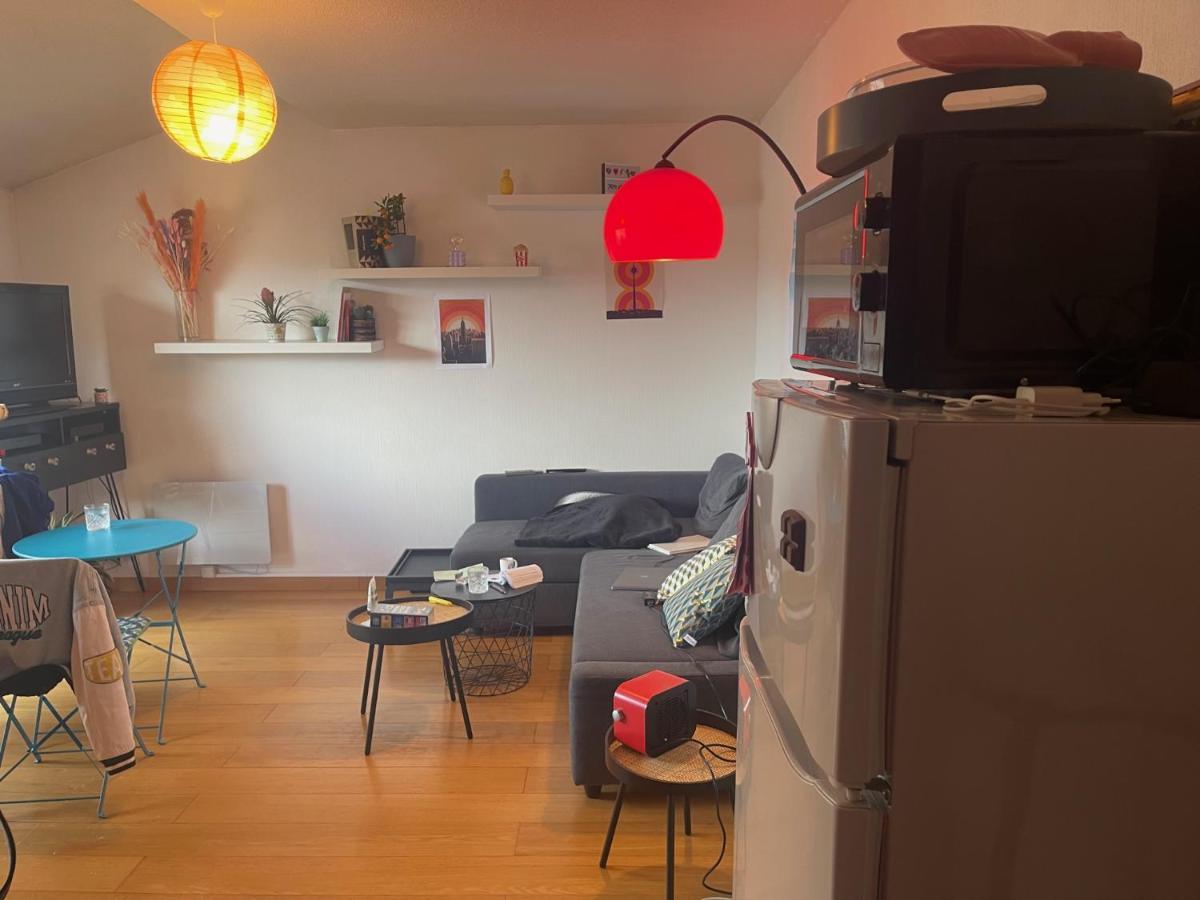 Appartement Au Centre Ville De トゥールーズ エクステリア 写真